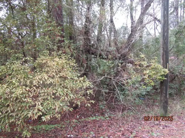 110 24th Ave, Apalachicola, FL 32320 - Image #3