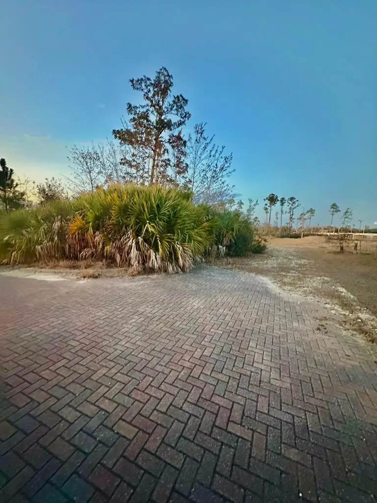 TBD Cook St, Panama City, FL 32404 - Image #2