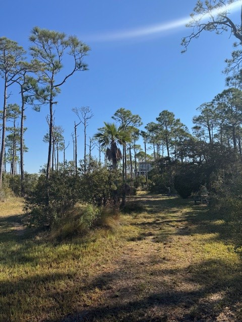 1635 Gannet Trl, Saint George Island, FL 32328 - Image #3