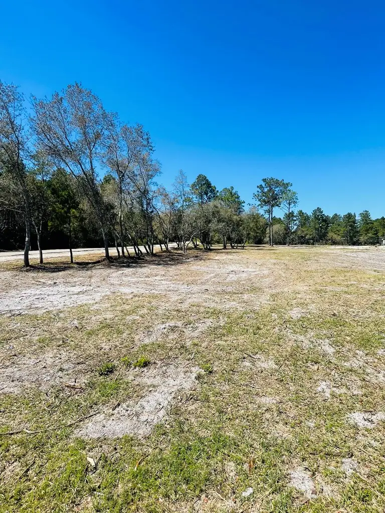 2033 Highway 98, Carrabelle, FL 32322 - #3