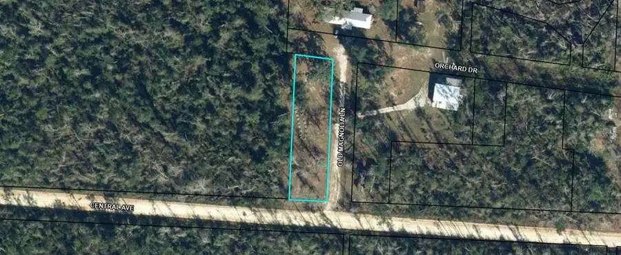 Lot 1 Old Magnolia Rd, Wewahitchka, FL 32465 - Image #2