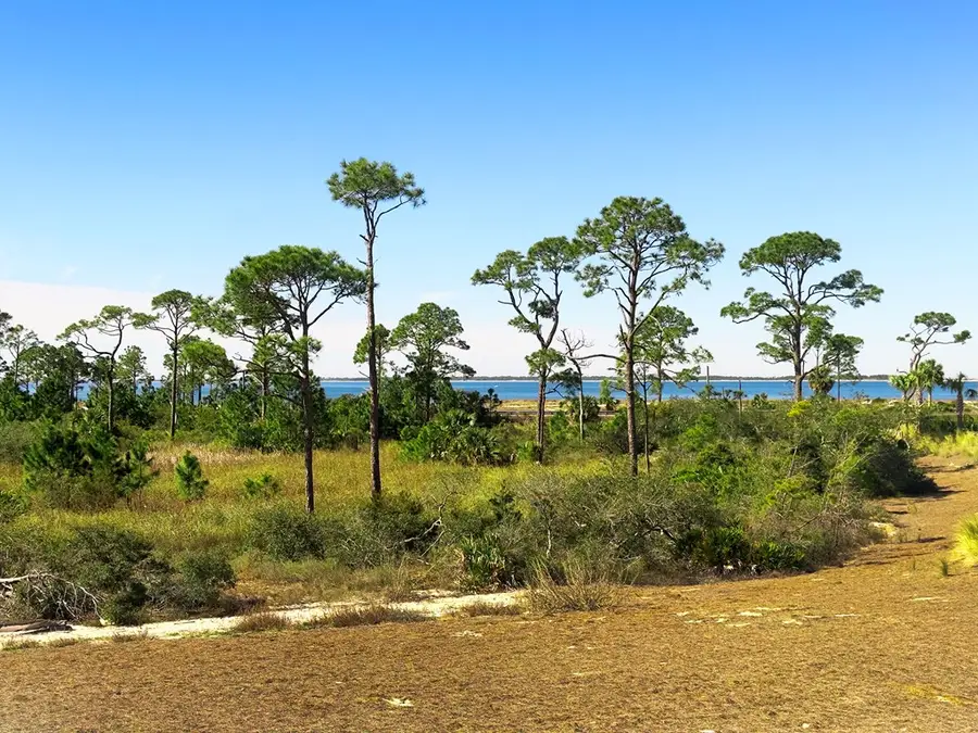 204 Pond Cypress Cv, Port Saint Joe, FL 32456 - #3