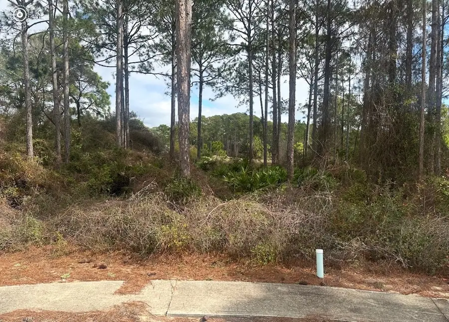 130 Spoonbill Ct, Carrabelle, FL 32322 - Image #2
