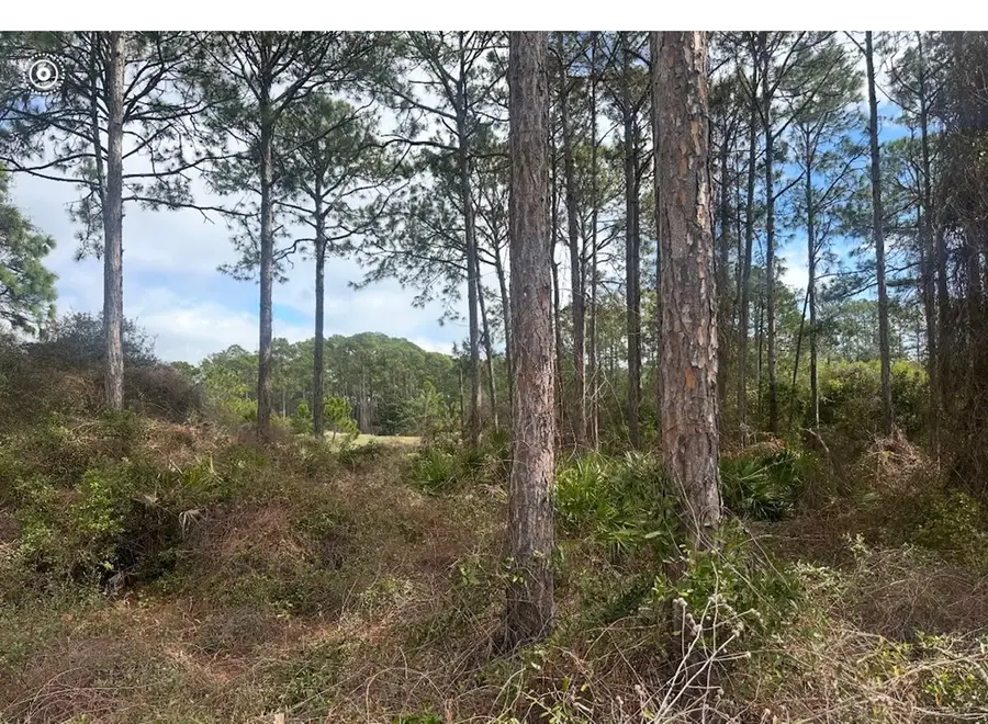 130 Spoonbill Ct, Carrabelle, FL 32322 - Image #3