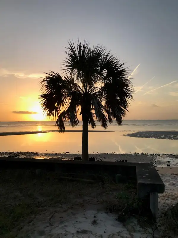 2670 Hwy 98 W, Carrabelle, FL 32322