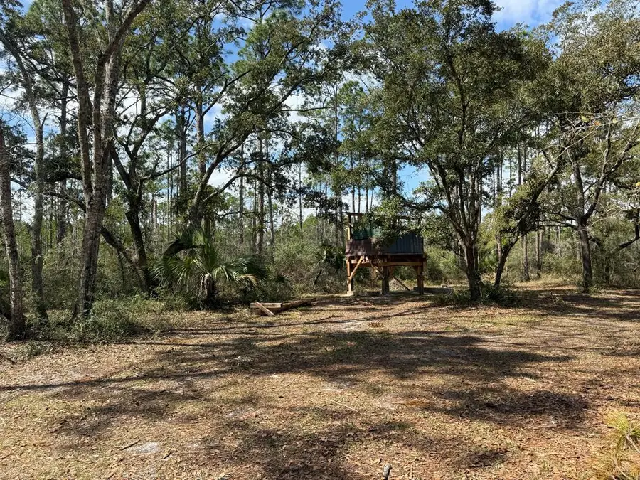 1073 Sr 65, Eastpoint, FL 32328 - Image #2