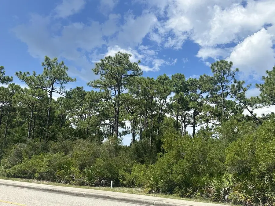 305 Royal Tern Way, Carrabelle, FL 32322 - Image #2