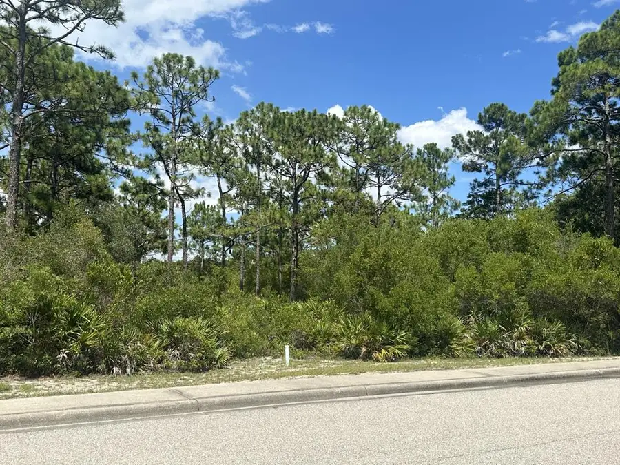 305 Royal Tern Way, Carrabelle, FL 32322 - Image #3