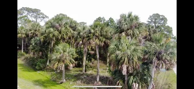 2300 Tally Ho Rd, Saint George Island, FL 32328 - Image #2