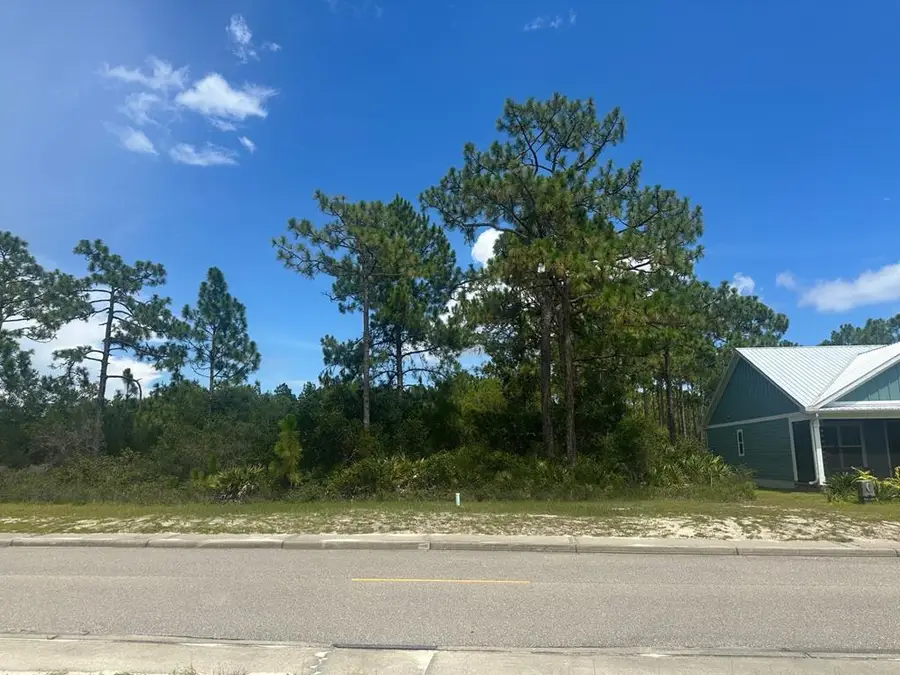 316 Royal Tern Way, Carrabelle, FL 32322 - Image #2