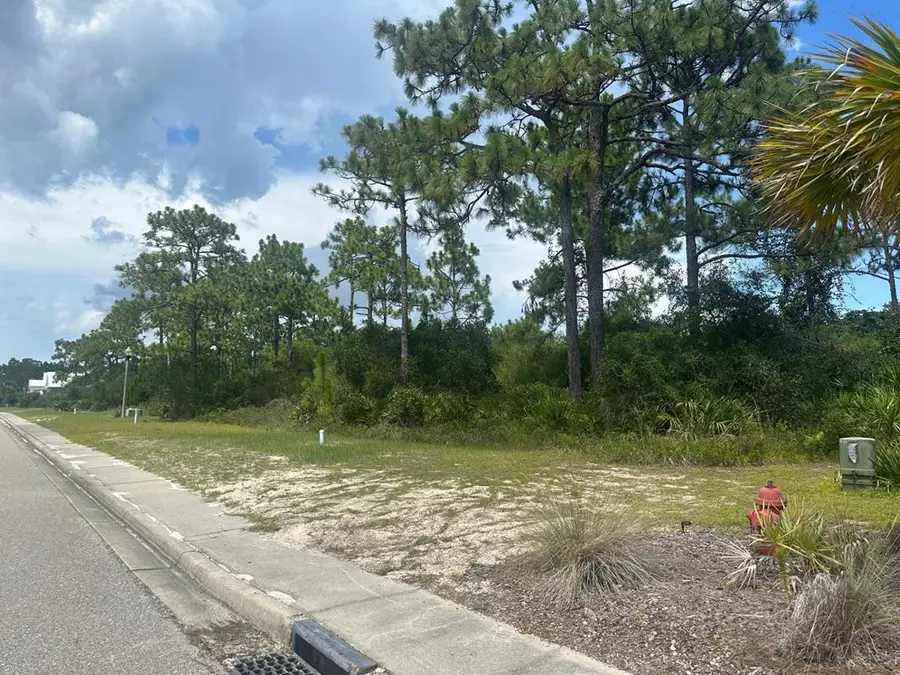 316 Royal Tern Way, Carrabelle, FL 32322 - Image #3