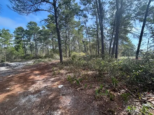 1863 Lighthouse Rd, Carrabelle, FL 32322