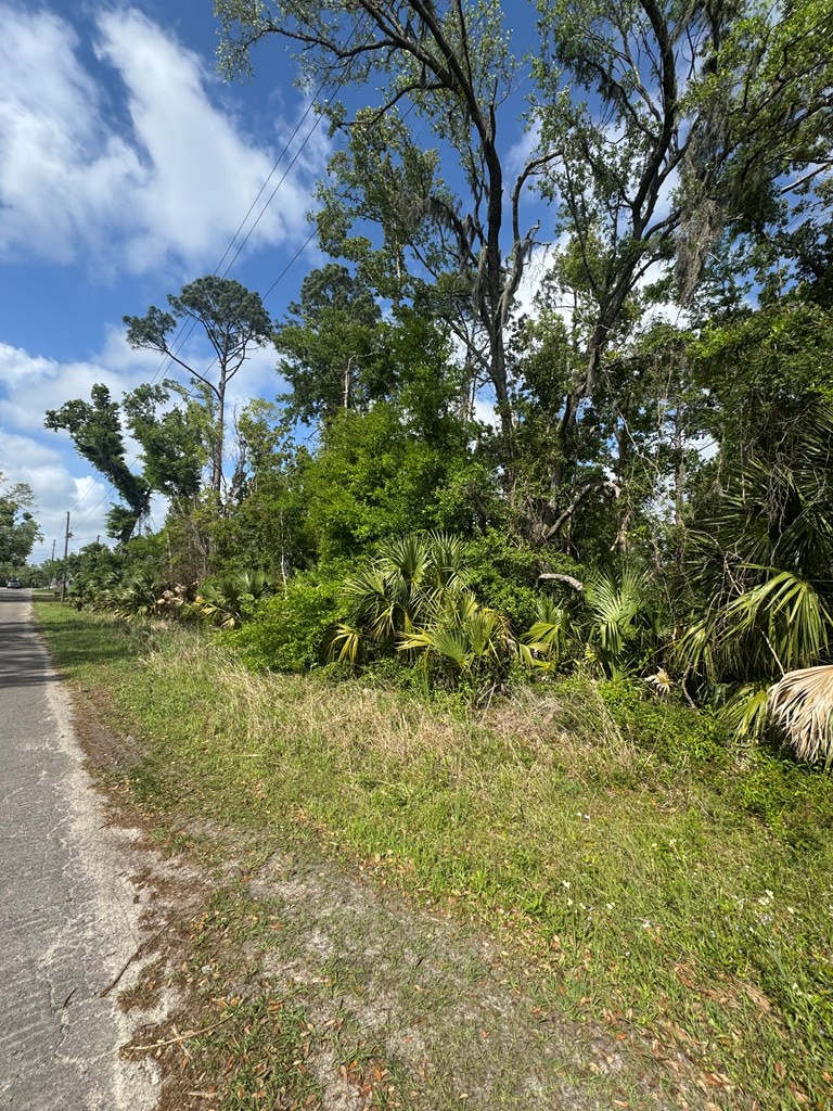 000 Faulkner St S, Perry, FL 32348 - Image #2