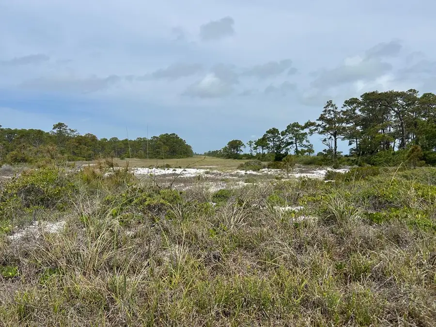 500 Gulf Shore Dr, Carrabelle, FL 32322 - Image #3