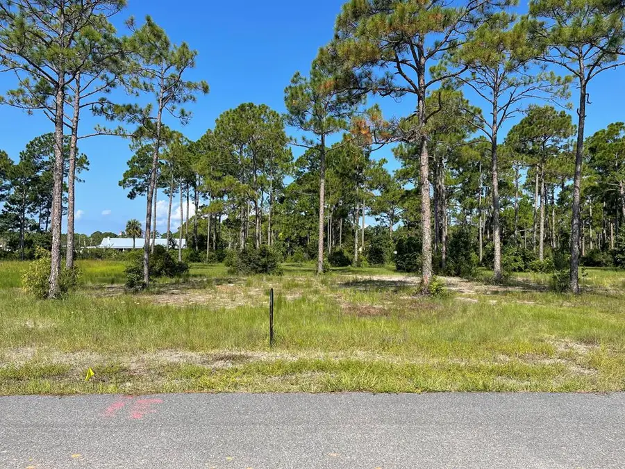 Lot 16 Plantation Dr, Port Saint Joe, FL 32456 - #2