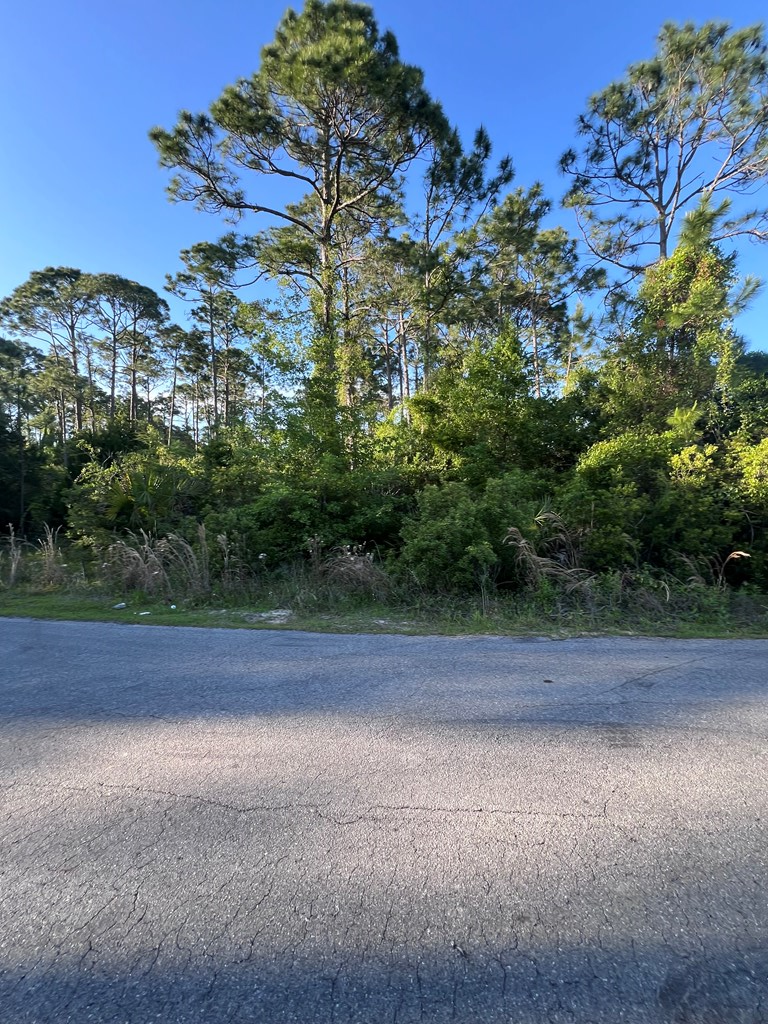 14 Stone Dr, Port Saint Joe, FL 32456 - Image #3