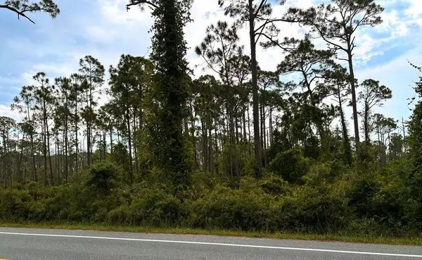 Lot 3 Sr 30-a, Port St. Joe, FL 32456