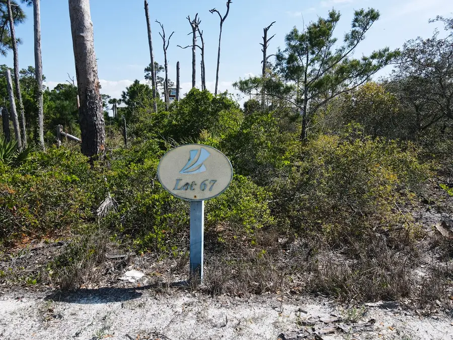 LOT 67 Pinnacle Dr, Port Saint Joe, FL 32456 - #2
