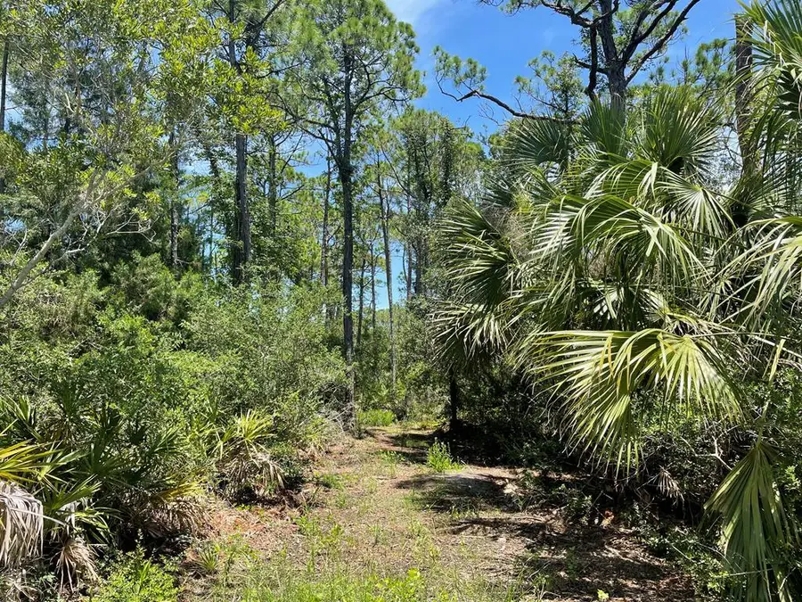 2205 Leisure Ln, Saint George Island, FL 32328 - Image #2