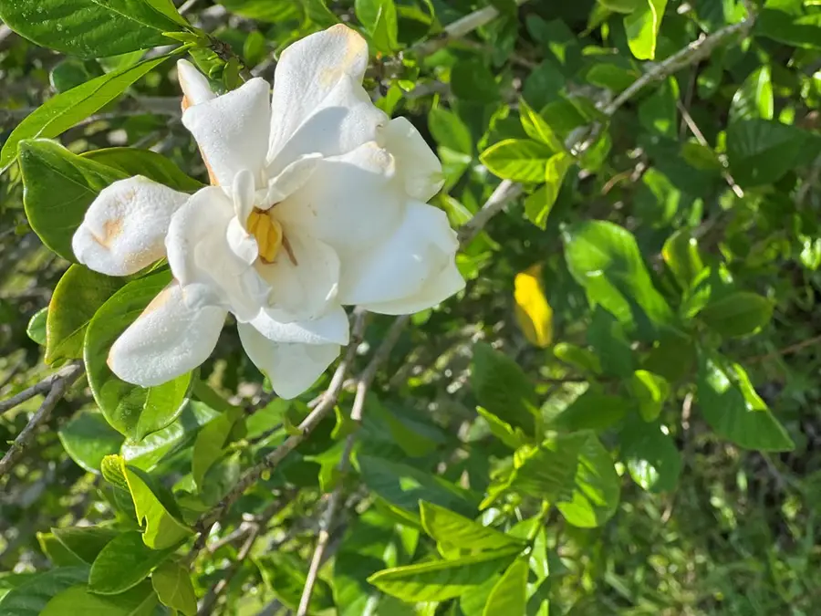 181 Marshall Ln, Wewahitchka, FL 32465 - Image #3