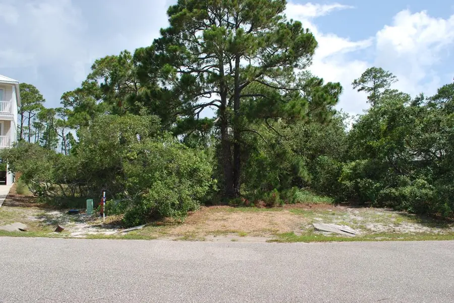1645 Wayfarers Ct, Saint George Island, FL 32328 - Image #2