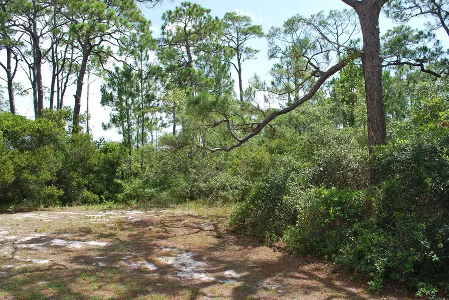 1645 Wayfarers Ct, Saint George Island, FL 32328 - Image #3