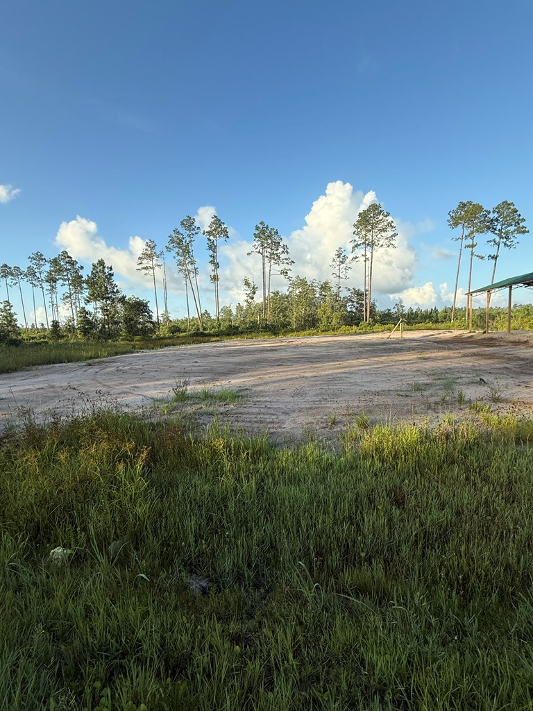 6312 Doc Whitfield Rd, Wewahitchka, FL 32465 - Image #2