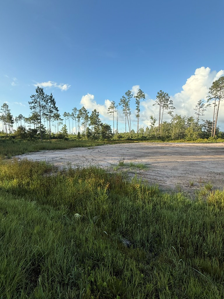 6312 Doc Whitfield Rd, Wewahitchka, FL 32465 - Image #3