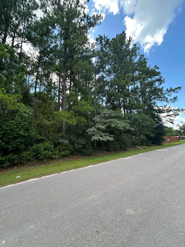 Lot 5 Sesame St, Wewahitchka, FL 32465 - Image #1