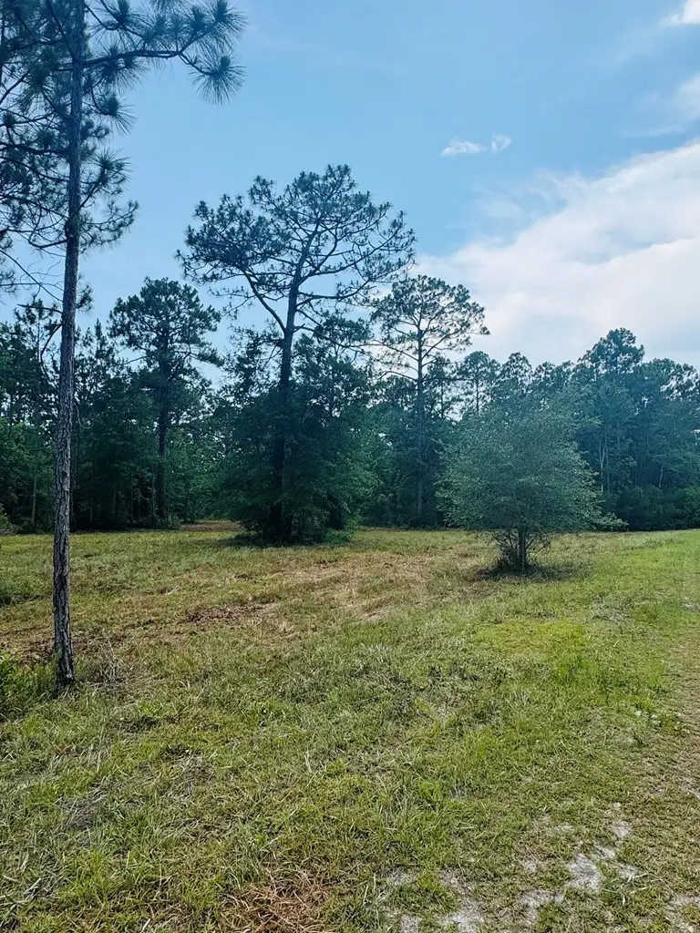 179 Skipper Rd, Carrabelle, FL 32322 - Image #3