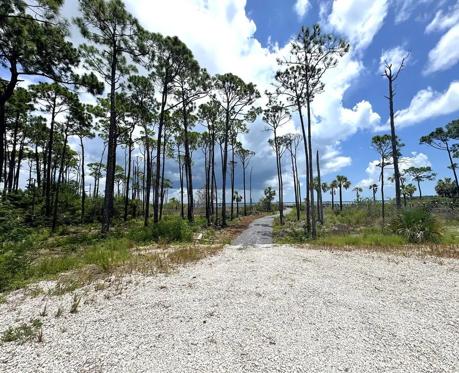 4244 Cape San Blas Rd, Cape San Blas, FL 32456 - #3