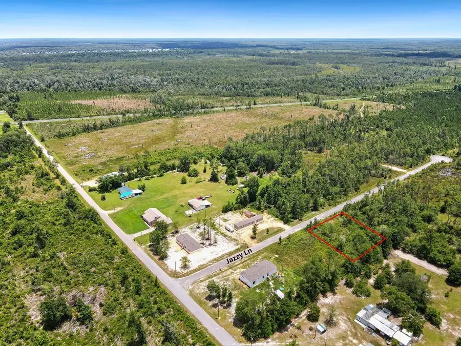 135 Jazzy Lane, Wewahitchka, FL 32456 - Image #3