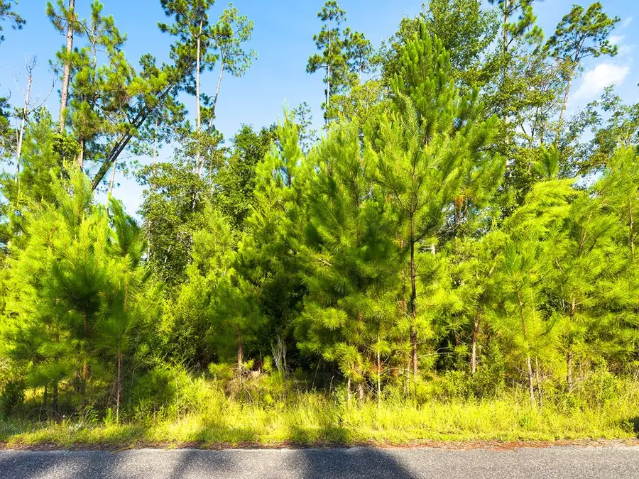 135&157 Jazzy Lane, Wewahitchka, FL 32465 - Image #3