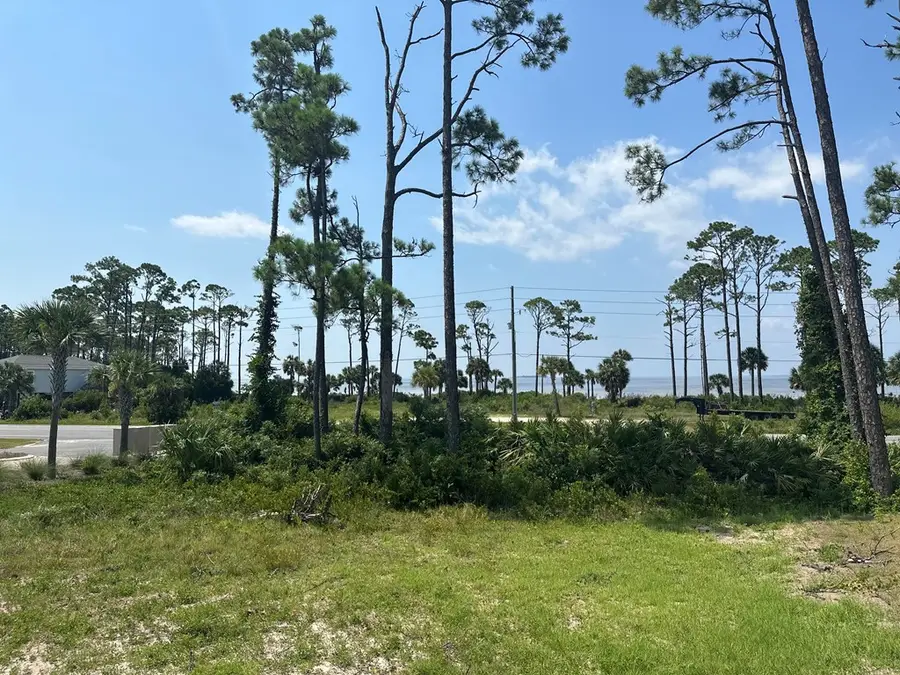 Lot 59 Rhonda Del Sol Cir, Cape San Blas, FL 32456 - Image #2