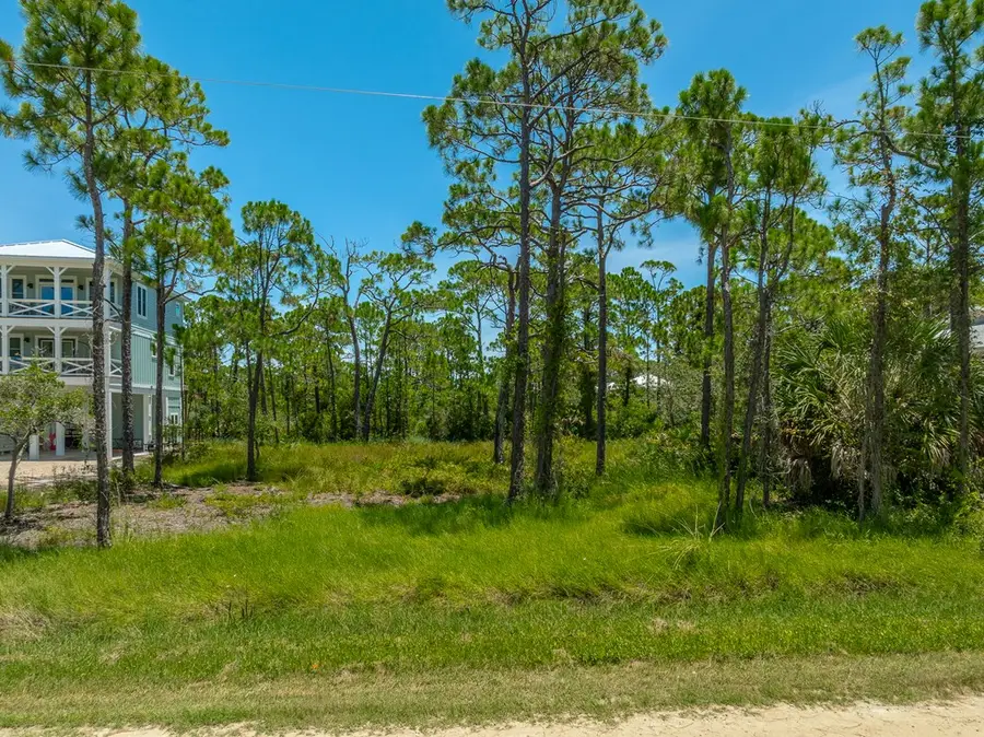 319 Brown St, Saint George Island, FL 32328 - Image #2