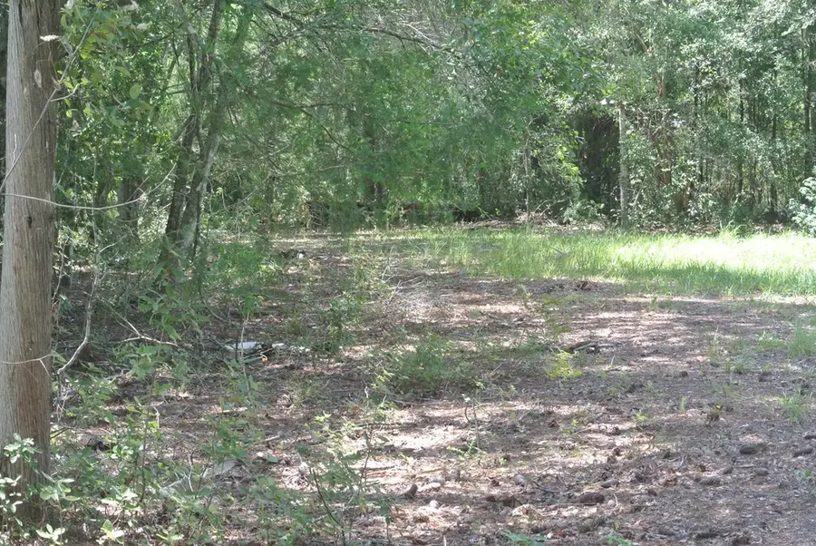 6795 Larimore St, Wewahitchka, FL 32456 - Image #2