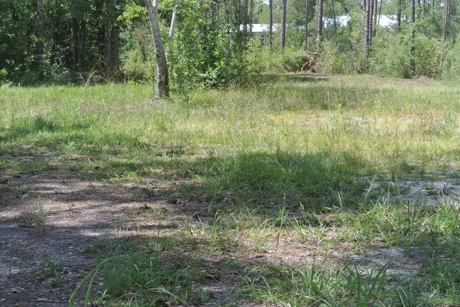 6795 Larimore St, Wewahitchka, FL 32456 - Image #3