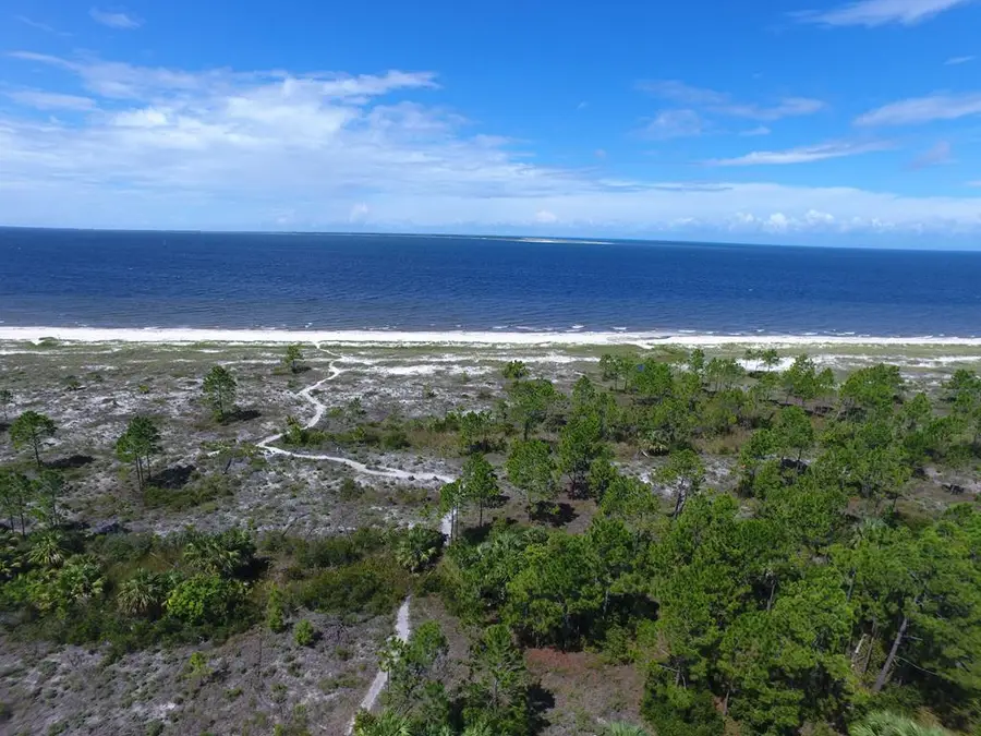 296 Sea Grove Way, Port Saint Joe, FL 32456 - Image #3