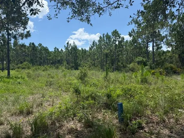 126 Shallow Reed Dr, Port Saint Joe, FL 32456 - #2