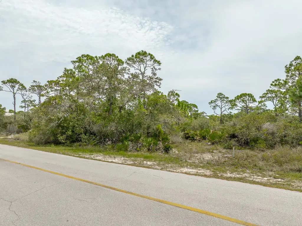1600 Forsythia Ct, Saint George Island, FL 32328 - Image #1