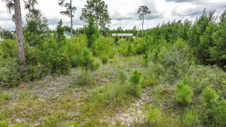 Lot 21 Chellsey St, Wewahitchka, FL 32465 - Image #3