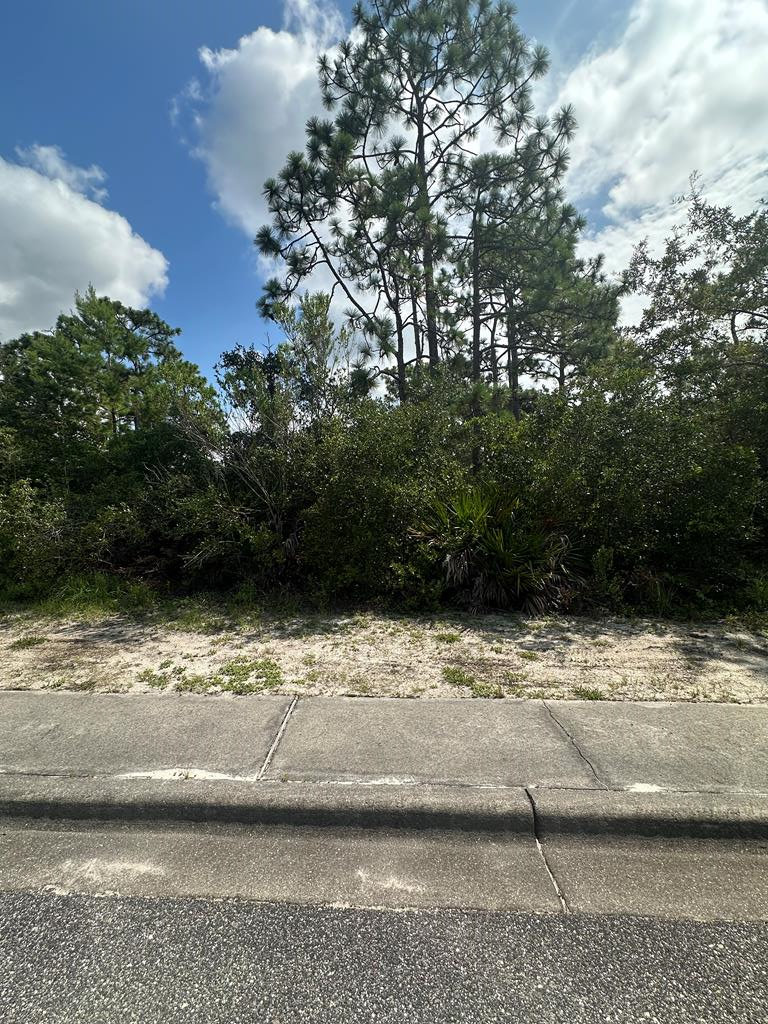 216 Royal Tern Way, Carrabelle, FL 32323 - Image #1