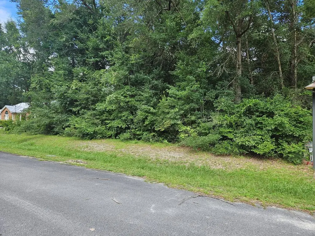 Lot 11 Little River Cir, Wewahitchka, FL 32465 - Image #1