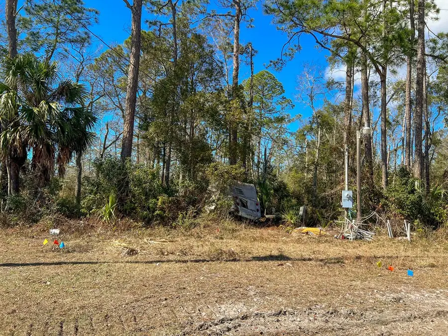 257 Pridgeon Rd, Wewahitchka, FL 32465 - Image #3