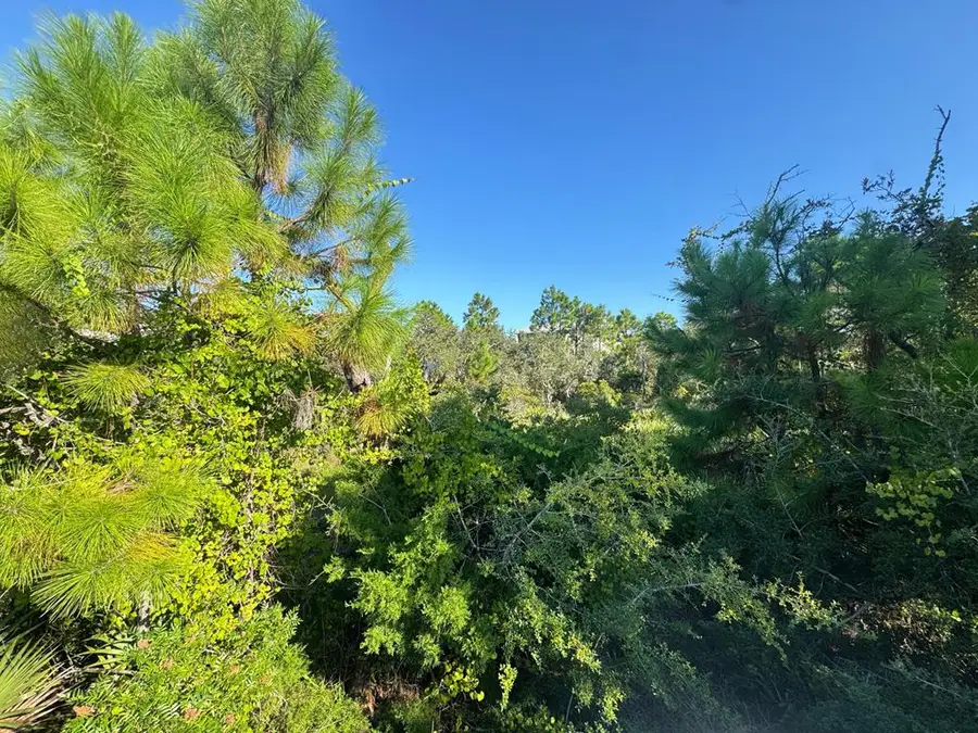 708 W Pine St, Saint George Island, FL 32328 - Image #3