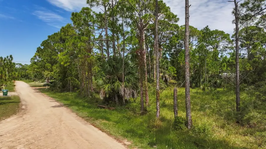 1028 Porter St, Saint George Island, FL 32328 - Image #3