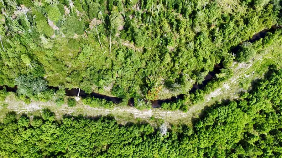 TBD Cr 386 N, Wewahitchka, FL 32465 - Image #2