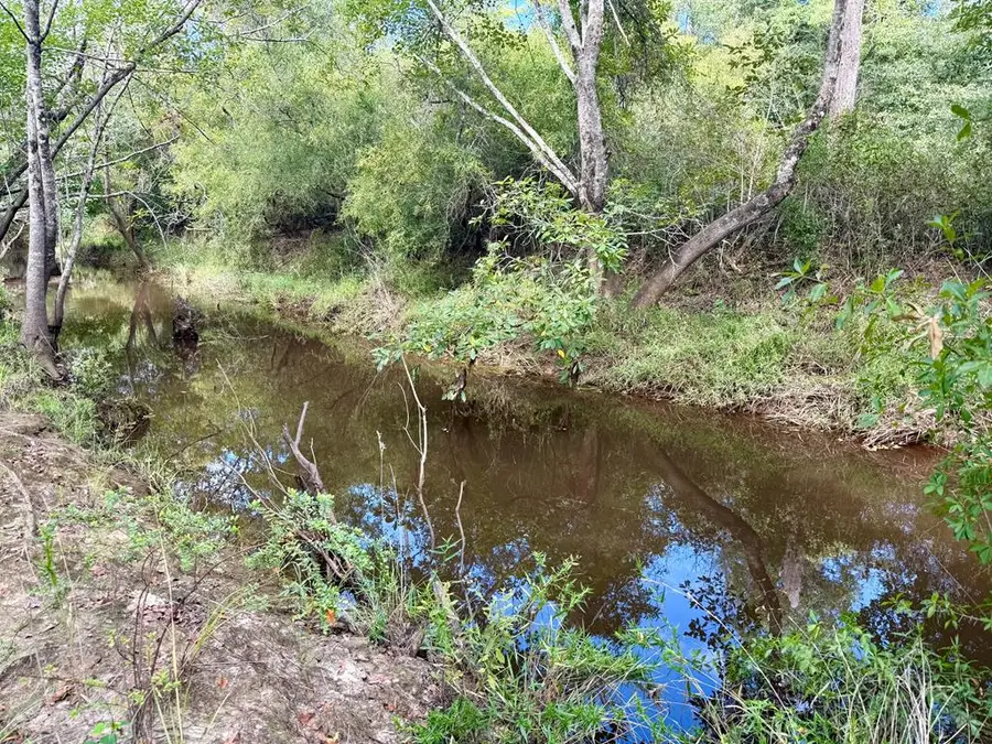 TBD Cr 386 N, Wewahitchka, FL 32465 - Image #3