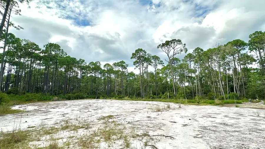 305 Sweet Bay Cir, Eastpoint, FL 32328 - Image #3