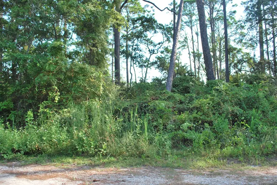 2976 Pristine Dr, Carrabelle, FL 32322 - Image #2